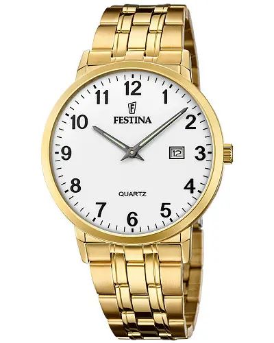 Festina Classics F20513/1