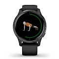 Часы Garmin Venu 010-02173-13 фото 5